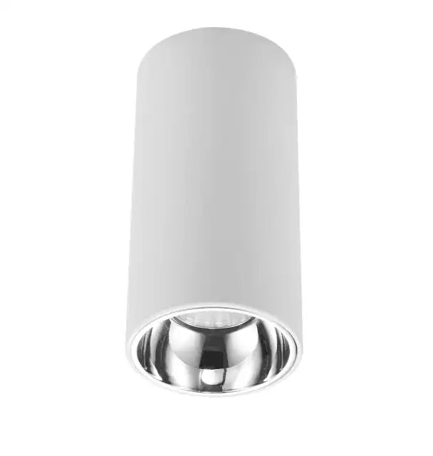 Surface Mount Ceiling Downlight Spark Lighting White