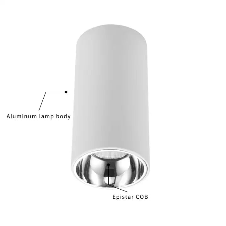 Surface Mount Ceiling Downlight Spark Lighting White